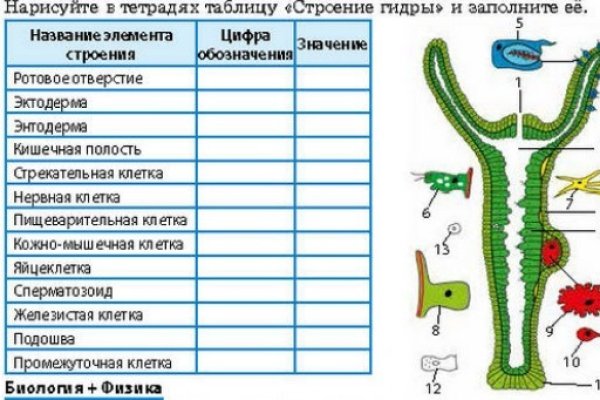 Кракен даркнет как зайти