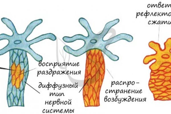 2krn cc что это