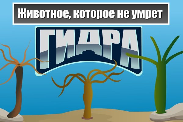 Kra12.cc