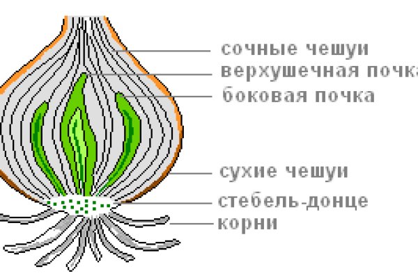 Кракен почему не заходит